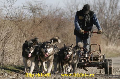 Hustopece 08 - 231.JPG